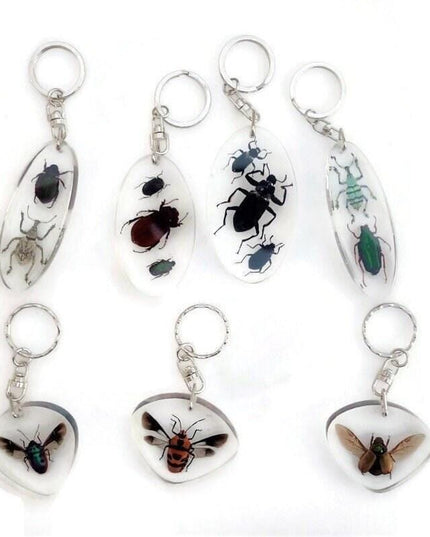 Resin beetle keyring: indonesian scarab & jewel bugs