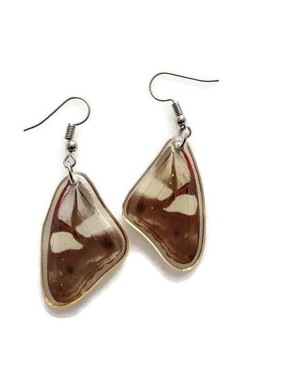 Pretty two sided butterfly wings earrings