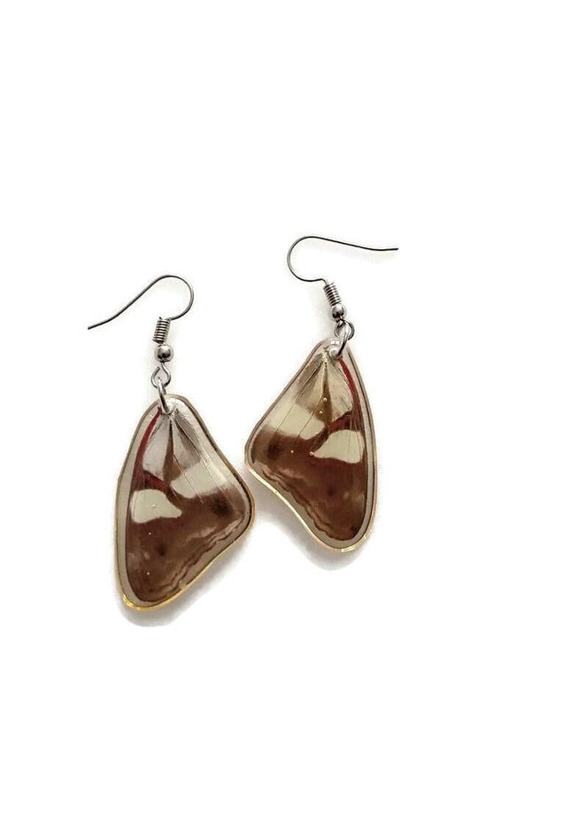 Pretty two sided butterfly wings earrings