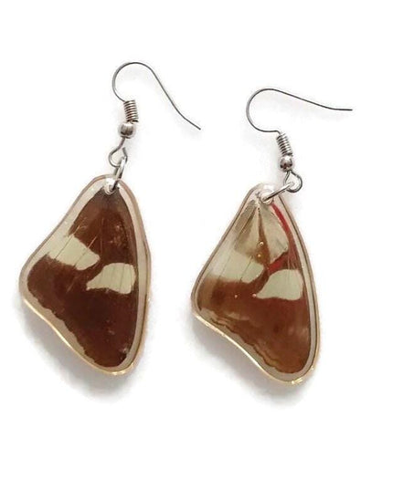 Pretty two sided butterfly wings earrings