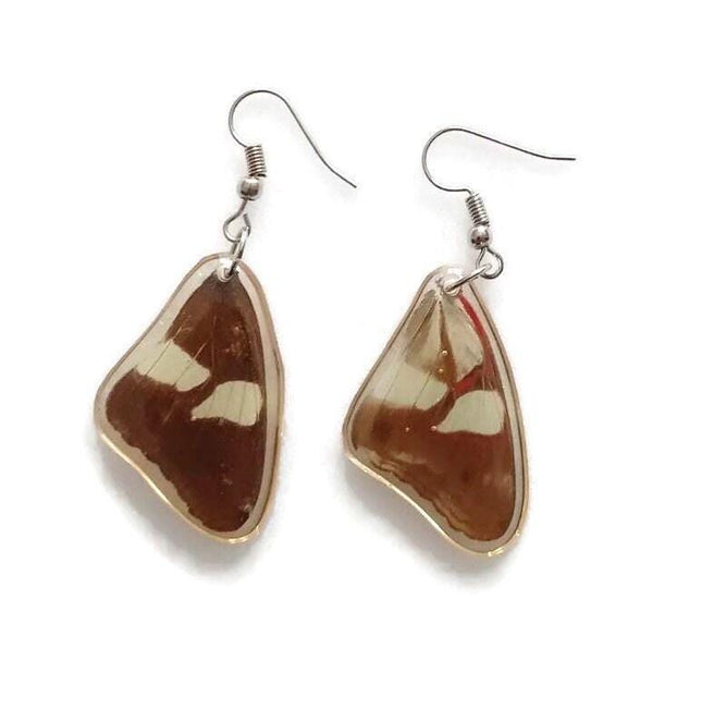 Pretty two sided butterfly wings earrings