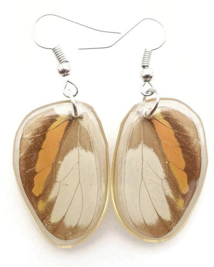 Oval orange colorful real butterfly wings in resin