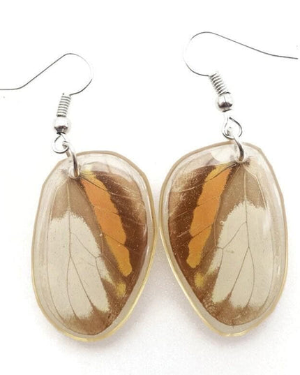 Oval orange colorful real butterfly wings in resin