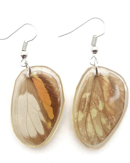 Oval orange colorful real butterfly wings in resin