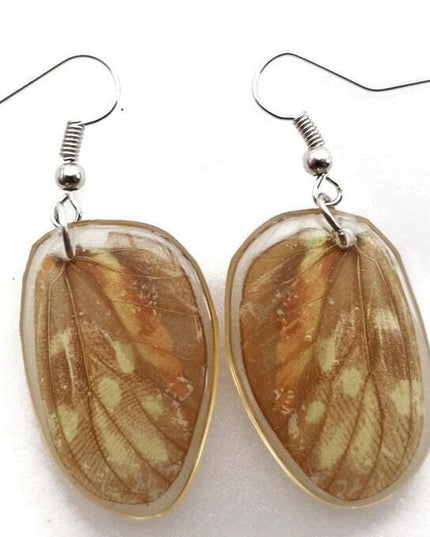 Oval orange colorful real butterfly wings in resin