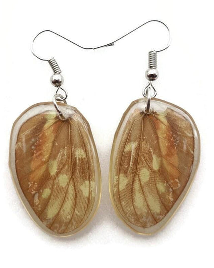 Oval orange colorful real butterfly wings in resin