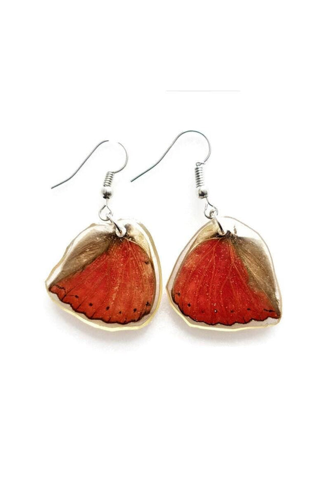 Red butterfly wing earrings: cymothoe sangaris, hypoallergenic hook