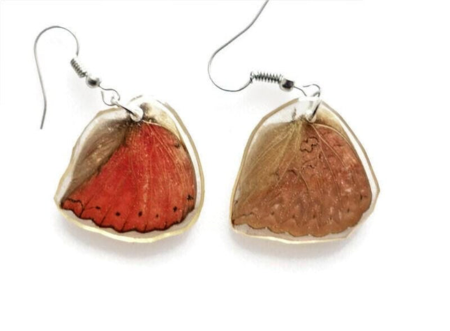 Red butterfly wing earrings: cymothoe sangaris, hypoallergenic hook