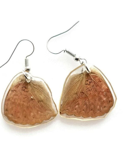 Red butterfly wing earrings: cymothoe sangaris, hypoallergenic hook