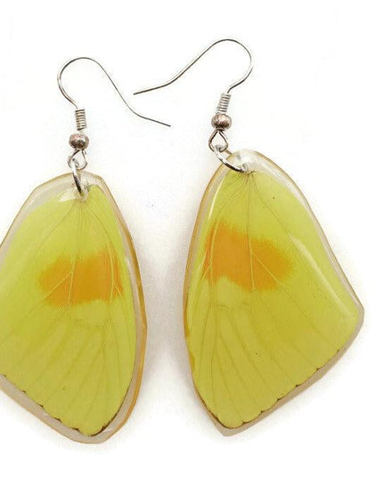 Phoebis philea, the orange-barred sulphur, real wings earrings long shaped, butterfly wings resin work