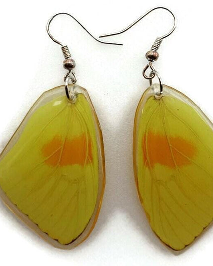 Phoebis philea, the orange-barred sulphur, real wings earrings long shaped, butterfly wings resin work