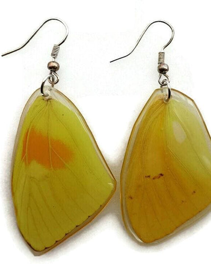 Phoebis philea, the orange-barred sulphur, real wings earrings long shaped, butterfly wings resin work