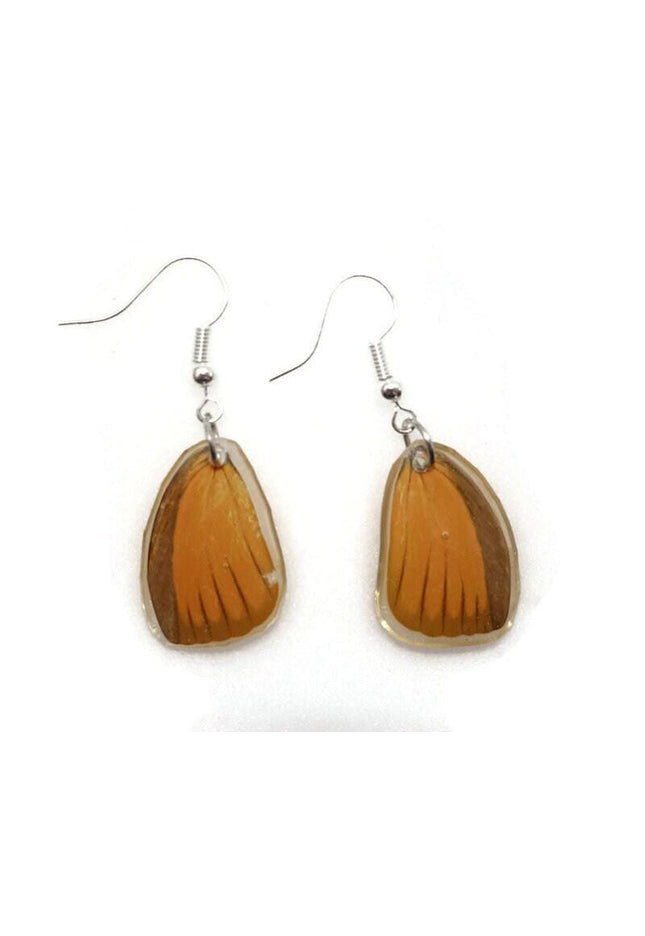 Real butterfly wing earrings: orange resin dangle jewelry