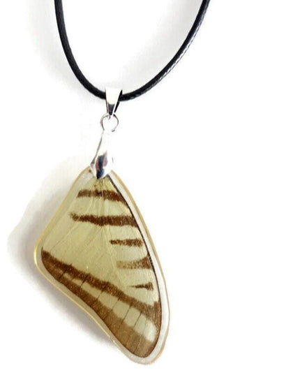 Real beige butterfly wing pendant: resin coated choker (47cm)