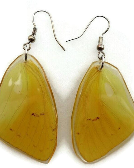 Phoebis philea, the orange-barred sulphur, real wings earrings long shaped, butterfly wings resin work