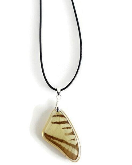 Real beige butterfly wing pendant: resin coated choker (47cm)