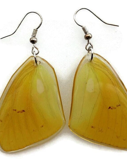 Phoebis philea, the orange-barred sulphur, real wings earrings long shaped, butterfly wings resin work