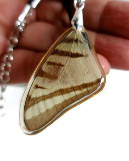 Real beige butterfly wing pendant: resin coated choker (47cm)