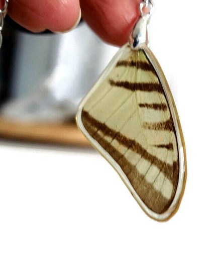 Real beige butterfly wing pendant: resin coated choker (47cm)