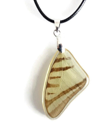 Real beige butterfly wing pendant: resin coated choker (47cm)