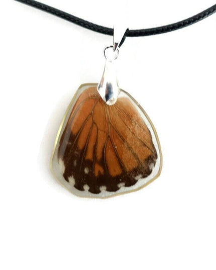 Real butterfly wing pendant necklace: resin coated, black cord