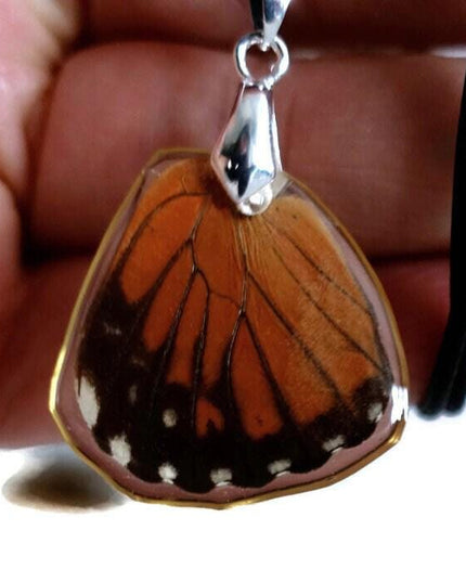 Real butterfly wing pendant necklace: resin coated, black cord