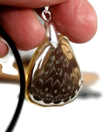 Real butterfly wing pendant necklace: resin coated, black cord