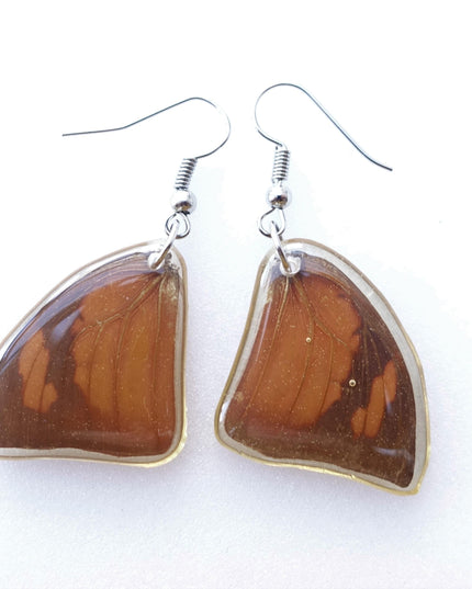 Real butterfly brown triangle shaped medium sized earrings, butterfly wings resinwork