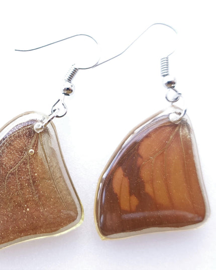 Real butterfly brown triangle shaped medium sized earrings, butterfly wings resinwork