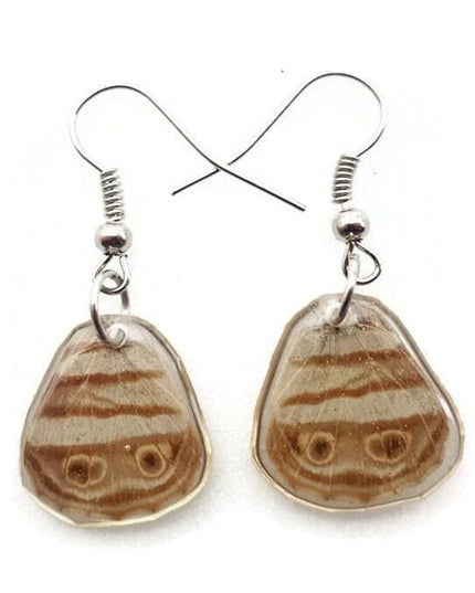 Real butterfly wing earrings: camouflage resin coated hypoallergenic hook