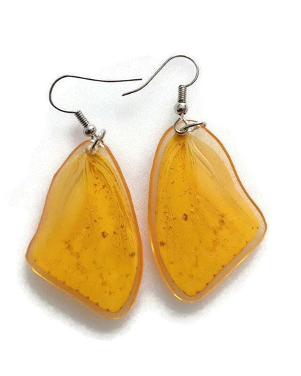 Real butterfly wing earrings: yellow phoebis sennae, entomology jewelry
