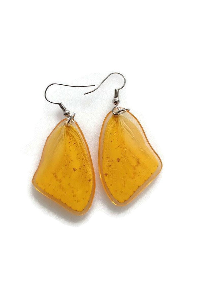 Real butterfly wing earrings: yellow phoebis sennae, entomology jewelry