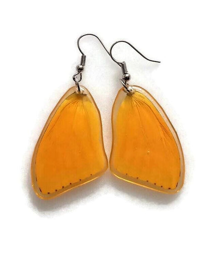 Real butterfly wing earrings: yellow phoebis sennae, entomology jewelry