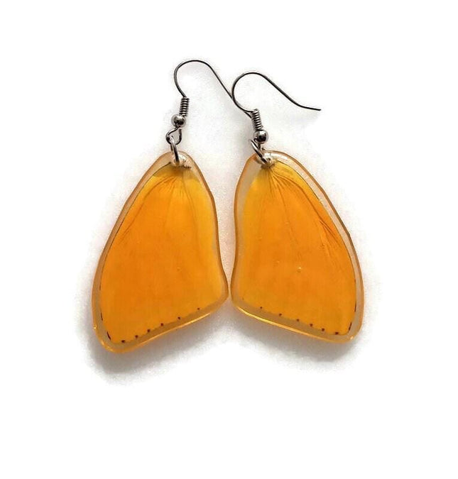 Real butterfly wing earrings: yellow phoebis sennae, entomology jewelry
