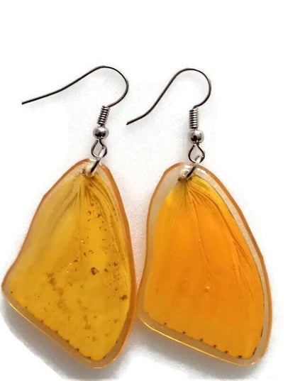 Real butterfly wing earrings: yellow phoebis sennae, entomology jewelry