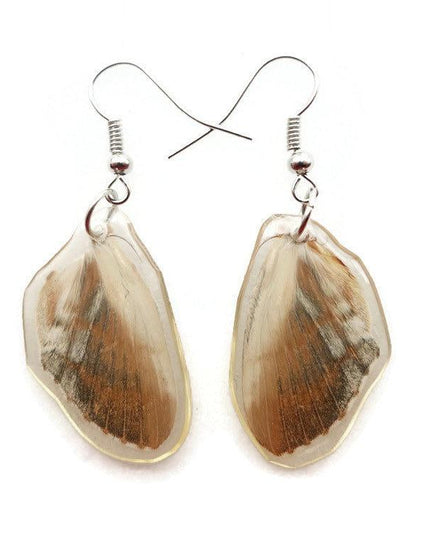 Real butterfly wing earrings: brown resin coated hypoallergenic hook