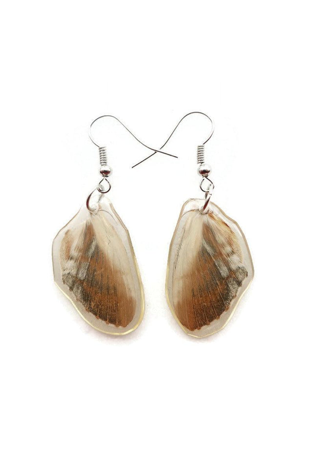 Real butterfly wing earrings: brown resin coated hypoallergenic hook