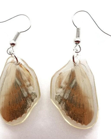 Real butterfly wing earrings: brown resin coated hypoallergenic hook