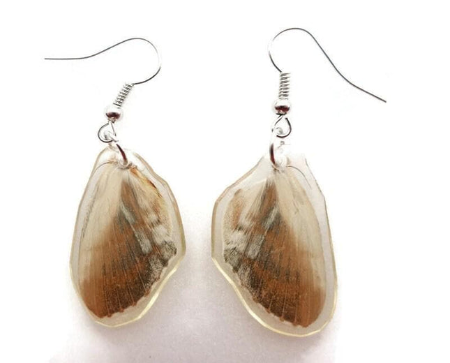 Real butterfly wing earrings: brown resin coated hypoallergenic hook