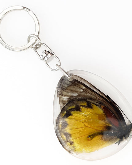 Cepora butterfly keyring: yellow & black gull wing, crystal epoxy