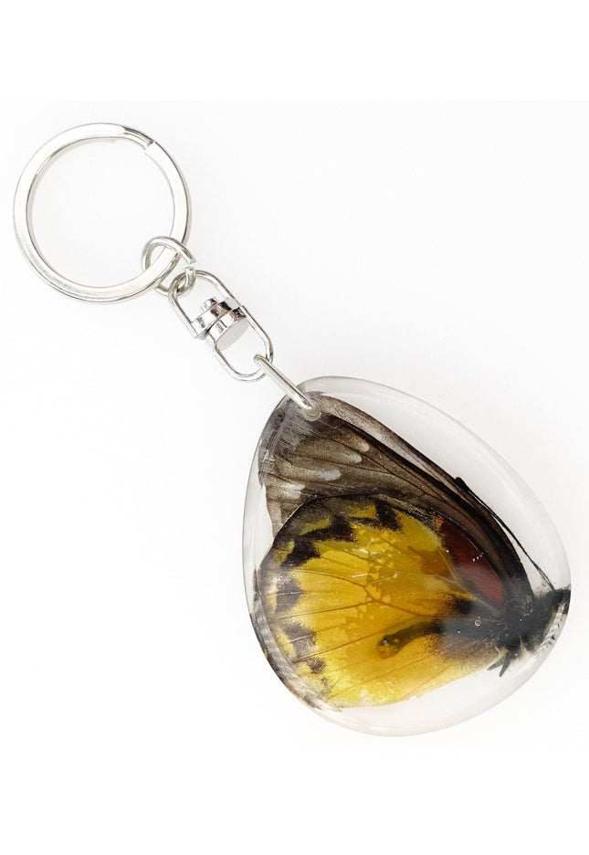 Cepora butterfly keyring: yellow & black gull wing, crystal epoxy