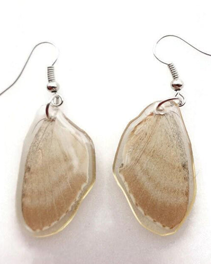 Real butterfly wing earrings: brown resin coated hypoallergenic hook
