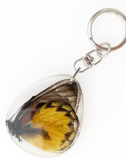 Cepora butterfly keyring: yellow & black gull wing, crystal epoxy