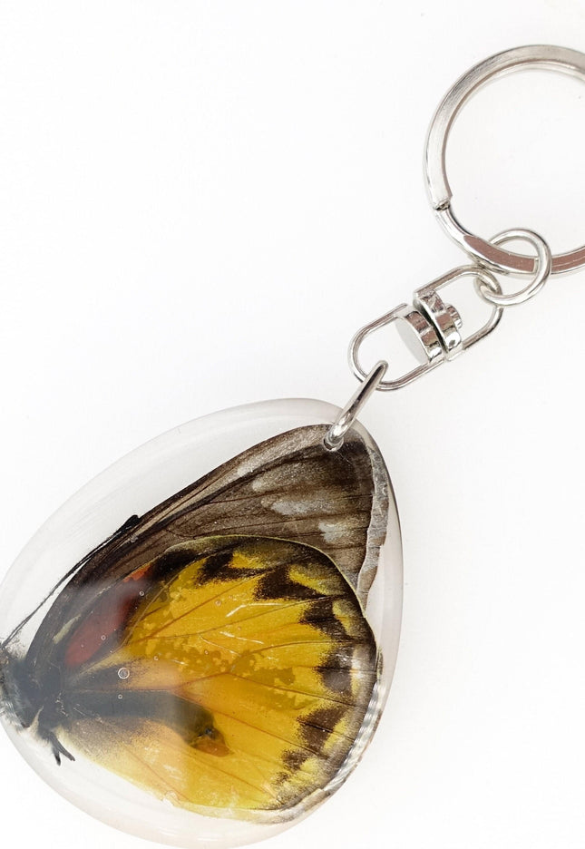 Cepora butterfly keyring: yellow & black gull wing, crystal epoxy