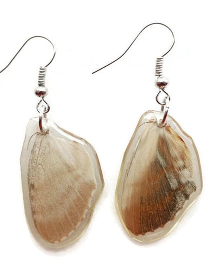 Real butterfly wing earrings: brown resin coated hypoallergenic hook