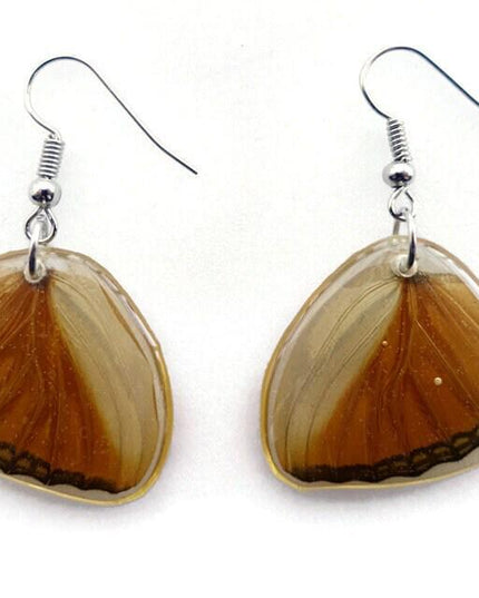 Resin butterfly wing earrings: copper bronze hypoallergenic hooks