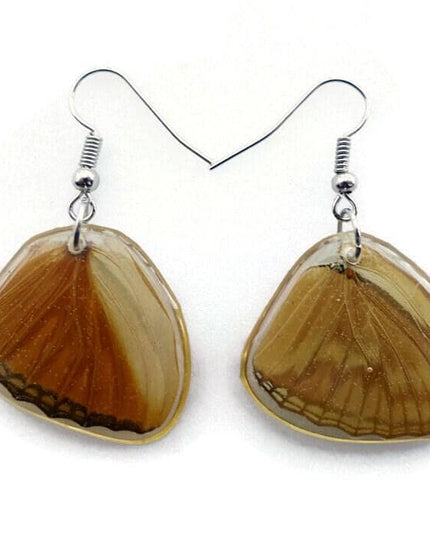 Resin butterfly wing earrings: copper bronze hypoallergenic hooks