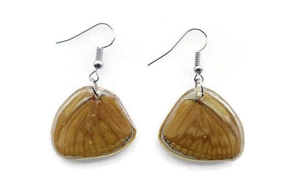 Resin butterfly wing earrings: copper bronze hypoallergenic hooks