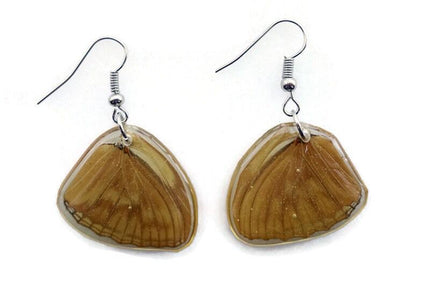 Resin butterfly wing earrings: copper bronze hypoallergenic hooks
