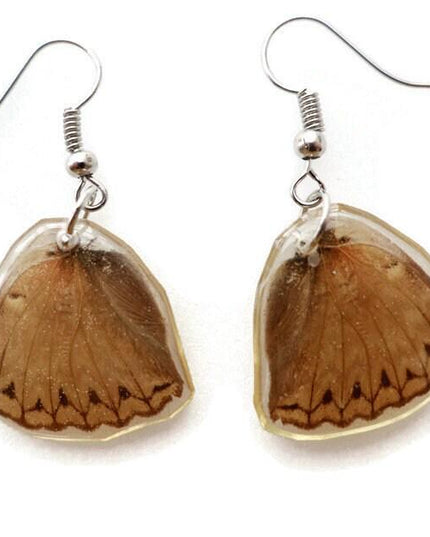 Real butterfly wing earrings: brown resinwork, hypoallergenic hooks